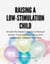 Raising a Low-Stimulation Child: Simple Montessori Habits to Reduce Screen Time, Improve Focus, and Raise Calm, Independent Kids