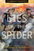 Lies of the Spider
