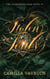 The Stolen Souls - The Elemental Saga, #4