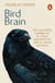 Bird Brain - The Incredible Intelligence of Crows, and What This Tells Us About Ourselves