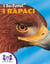 I So-Tutto!® I Rapaci