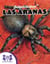 ¡Sabelotodos!® Las Arañas