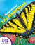 ¡Sabelotodos!® Las Mariposas