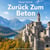 Zurück Zum Beton - Aufsätze zu europäischen Substanzveränderungen