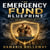 The Emergency Fund Blueprint - How to Build Real Financial Security One Paycheck at a Time