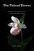 The Patient Flower: The Hidden Lives of North America's Native Lady's Slipper Orchids