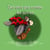 Des amis pas comme les autres - Collection LOLITA - Album 3