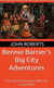 Bennie Barrier’s Big City Adventures; The Tale Of The House With The Green Door - Bennie Barrier's Big City Adventures