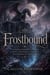 Frostbound - A Dark Fae Romantasy of an Immortal Enemy, a Blood Bargain, and the Secret That Could Burn Two Kingdoms Down