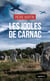 Les idoles de Carnac