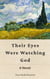 Their Eyes Were Watching God - A Novel