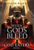 When Gods Bleed - When Gods Bleed, #1