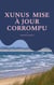 Xunus mise à jour corrompu
