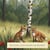 Der Fuchs, seine Familie und die Birke - 01-05