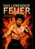 Das lebendige Feuer - Wie BRUCE LEE uns zeigte, dass es keine Grenzen gibt