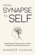 From Synapse to Self