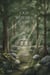 The Old Witches Camp