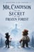 MR. CANDYSON AND THE SECRET OF THE FROZEN FOREST - ADVENTURES OF MR. CANDYSON, #1