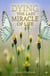 Dying the last Miracle of Life
