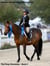 Autumn Stirrups and Shifting Sands - The Pony Chronicles, #4
