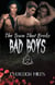The Town That Broke Bad Boys - Havermouth's Companion Collection, #3
