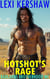 Hotshot's Rage - Badlands Brotherhood MC, #8