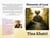 Elements of Love: A Journey Through the Heart