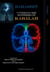 THE INNER CHAMBER AND THE FLOW OF THE SPIRIT - BARASHIT - Unveiling the Mysteries of Kabbalah, #2