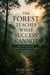 The Forest Teaches What Success Cannot