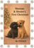 Sheman & Shester's First Christmas - Sheman & Shester