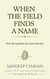 When the Field Finds a Name - Identity Infrastructure: The Architecture We Become, #1