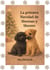 La primera Navidad  de Sheman y Shester - Sheman & Shester