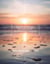 The Art of Stillness_ Discovering Zen Buddhism for Everyday Life
