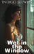 Wet in the Window