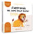 J’apprends les sons pour parler : Les consonnes et les voyelles ch, j, r, on, o (lion) - Découvrez les premiers mots de votre enfant à travers les sons « ch, j, r, on, o » qui les composent
