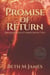 The Promise of Return - Dream or Reality?, #2