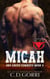 Micah - Dry Creek Cowboys, #3
