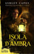 Isola d’Ambra - La Saga di Never, #1