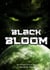 Black Bloom