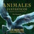 Animales fantásticos y dónde encontrarlos - Harry Potter Libro de la Biblioteca Hogwarts