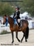 Shared Passions and Pony Dreams - The Pony Chronicles, #8