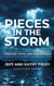 Pieces in the Storm