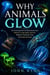 Why Animals Glow