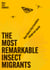 The Most Remarkable Insect Migrants - How These Tiny Travellers Shape Our World