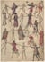 The Suit of Swords: An OtherWorldly Journey