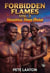 Forbidden Flames - Shadows of Desire Book 1, #2