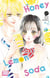 Honey Lemon Soda T17