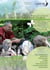 Naturerleben mit Kindern - Wildkräuter entdecken