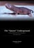 The Queen Underground - The Era of Naked Mole Rats at Dresden Zoo