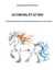 Le cheval et le Tao - Cinq éléments pour une relation harmonieuse avec votre cheval